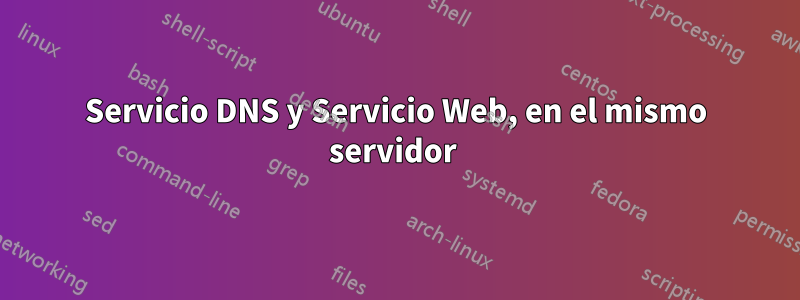 Servicio DNS y Servicio Web, en el mismo servidor 