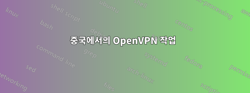 중국에서의 OpenVPN 작업 