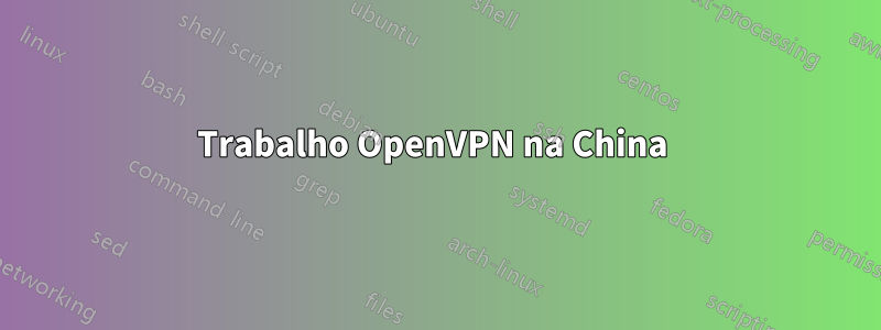 Trabalho OpenVPN na China 