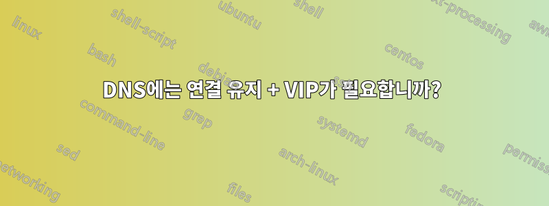 DNS에는 연결 유지 + VIP가 필요합니까?