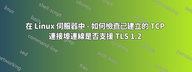 在 Linux 伺服器中 - 如何檢查已建立的 TCP 連接埠連線是否支援 TLS 1.2