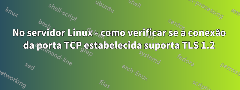 No servidor Linux - como verificar se a conexão da porta TCP estabelecida suporta TLS 1.2