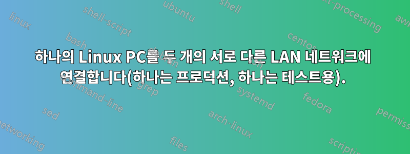 하나의 Linux PC를 두 개의 서로 다른 LAN 네트워크에 연결합니다(하나는 프로덕션, 하나는 테스트용).