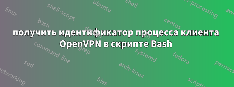 получить идентификатор процесса клиента OpenVPN в скрипте Bash