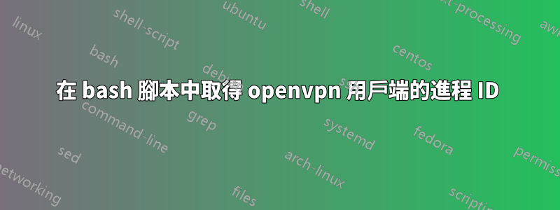 在 bash 腳本中取得 openvpn 用戶端的進程 ID