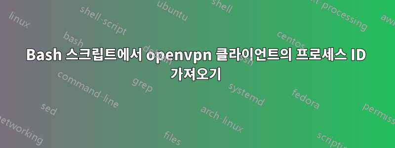 Bash 스크립트에서 openvpn 클라이언트의 프로세스 ID 가져오기