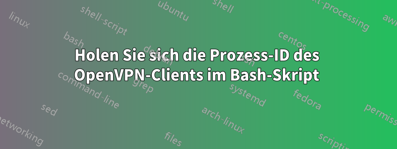 Holen Sie sich die Prozess-ID des OpenVPN-Clients im Bash-Skript