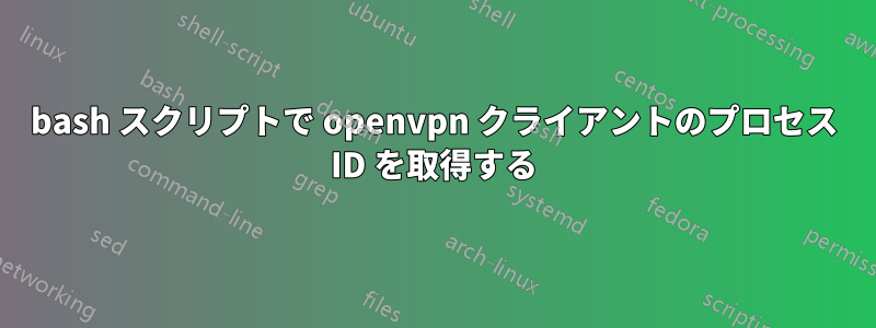 bash スクリプトで openvpn クライアントのプロセス ID を取得する