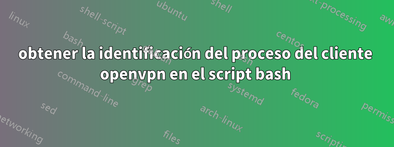 obtener la identificación del proceso del cliente openvpn en el script bash