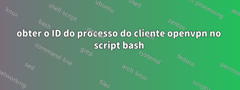 obter o ID do processo do cliente openvpn no script bash