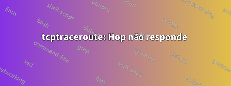 tcptraceroute: Hop não responde