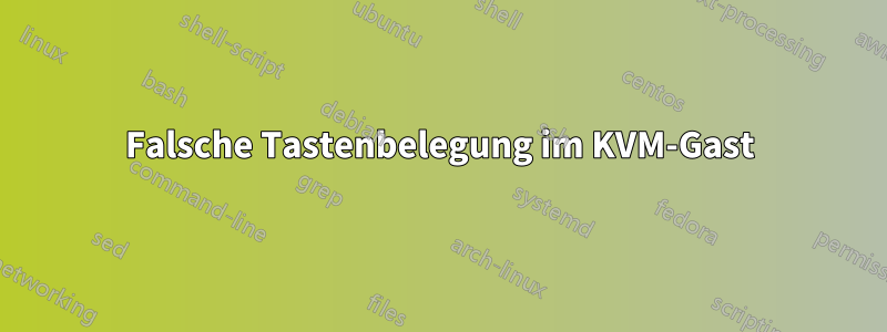 Falsche Tastenbelegung im KVM-Gast