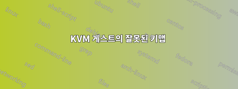 KVM 게스트의 잘못된 키맵