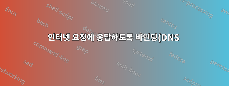 인터넷 요청에 응답하도록 바인딩(DNS) 서버를 구성하는 방법