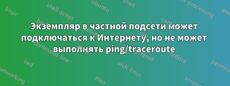 Экземпляр в частной подсети может подключаться к Интернету, но не может выполнять ping/traceroute