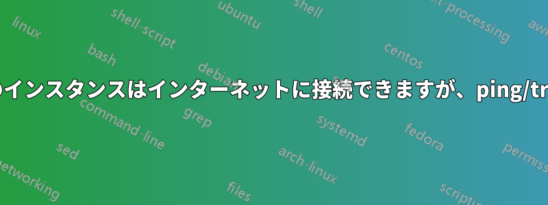 プライベートサブネット内のインスタンスはインターネットに接続できますが、ping/tracerouteは実行できません