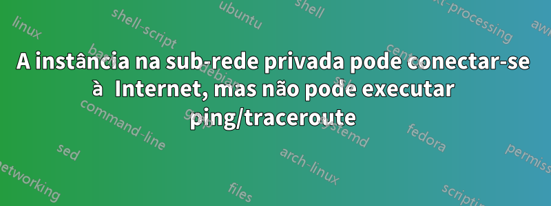 A instância na sub-rede privada pode conectar-se à Internet, mas não pode executar ping/traceroute