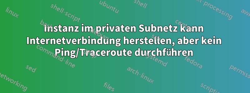 Instanz im privaten Subnetz kann Internetverbindung herstellen, aber kein Ping/Traceroute durchführen