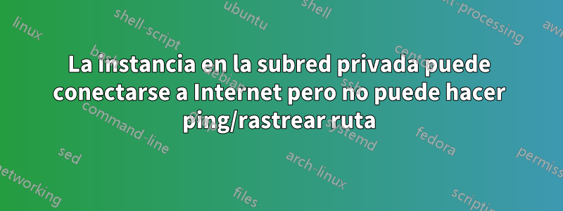 La instancia en la subred privada puede conectarse a Internet pero no puede hacer ping/rastrear ruta