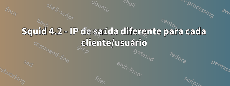 Squid 4.2 - IP de saída diferente para cada cliente/usuário