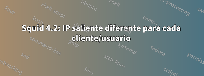 Squid 4.2: IP saliente diferente para cada cliente/usuario