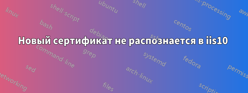 Новый сертификат не распознается в iis10