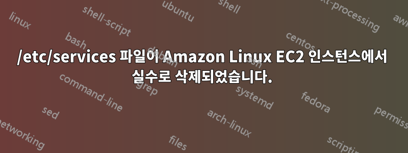 /etc/services 파일이 Amazon Linux EC2 인스턴스에서 실수로 삭제되었습니다.