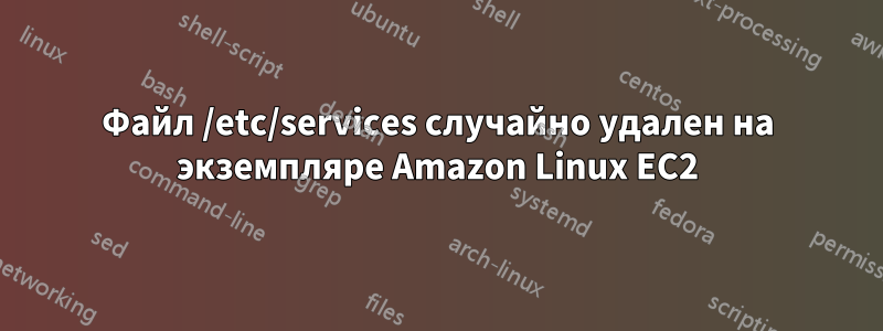 Файл /etc/services случайно удален на экземпляре Amazon Linux EC2