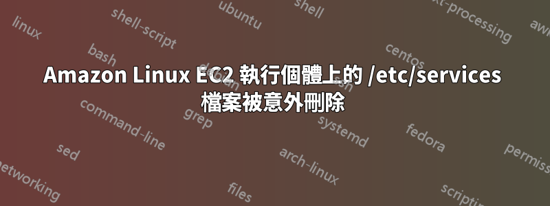 Amazon Linux EC2 執行個體上的 /etc/services 檔案被意外刪除