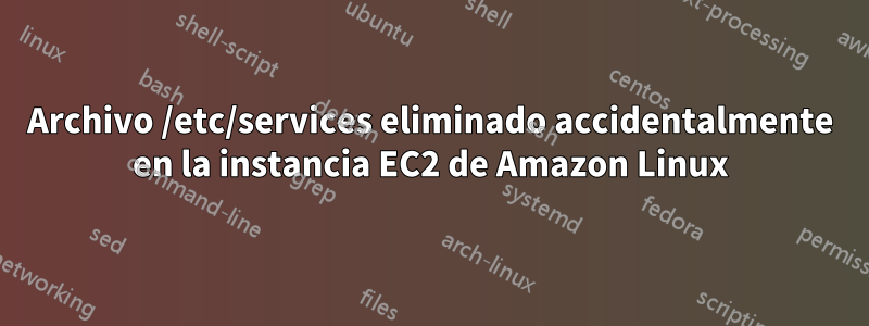 Archivo /etc/services eliminado accidentalmente en la instancia EC2 de Amazon Linux