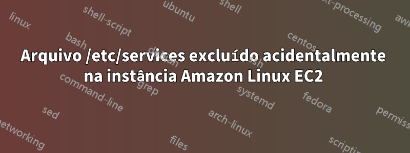 Arquivo /etc/services excluído acidentalmente na instância Amazon Linux EC2