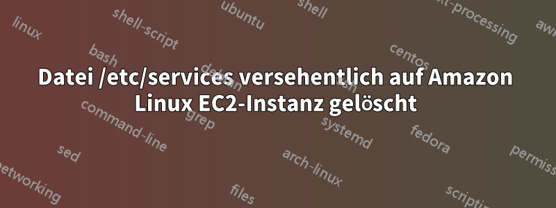 Datei /etc/services versehentlich auf Amazon Linux EC2-Instanz gelöscht