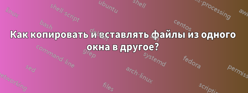 Как копировать и вставлять файлы из одного окна в другое?