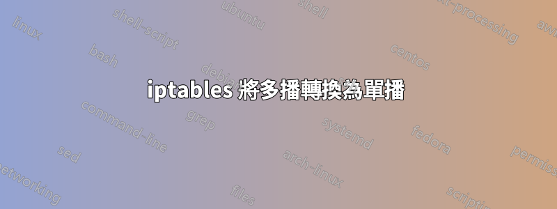 iptables 將多播轉換為單播