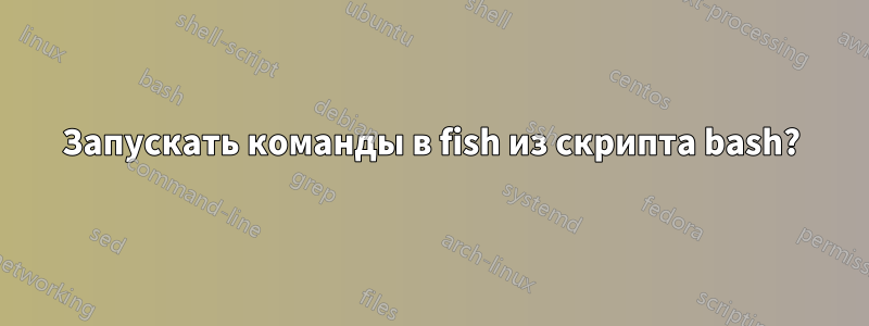 Запускать команды в fish из скрипта bash?