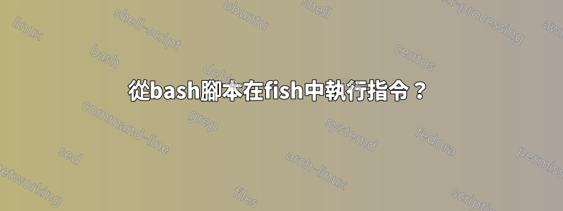 從bash腳本在fish中執行指令？