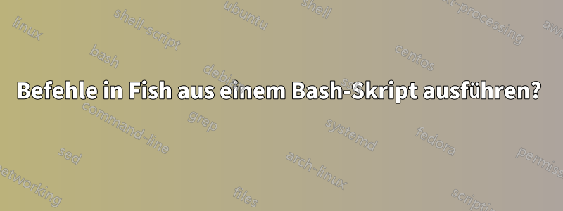 Befehle in Fish aus einem Bash-Skript ausführen?