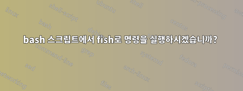 bash 스크립트에서 fish로 명령을 실행하시겠습니까?