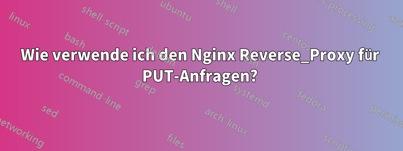 Wie verwende ich den Nginx Reverse_Proxy für PUT-Anfragen?