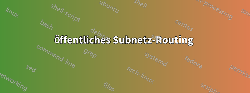 Öffentliches Subnetz-Routing