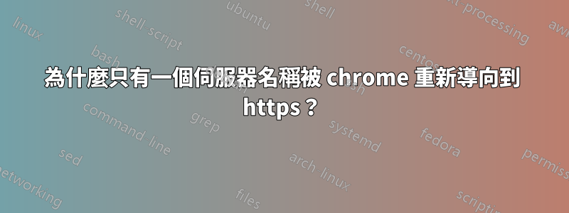 為什麼只有一個伺服器名稱被 chrome 重新導向到 https？