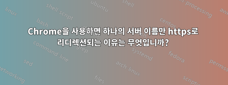 Chrome을 사용하면 하나의 서버 이름만 https로 리디렉션되는 이유는 무엇입니까?