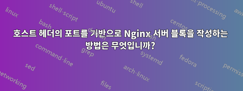 호스트 헤더의 포트를 기반으로 Nginx 서버 블록을 작성하는 방법은 무엇입니까?