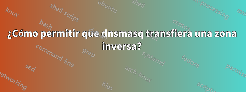 ¿Cómo permitir que dnsmasq transfiera una zona inversa?