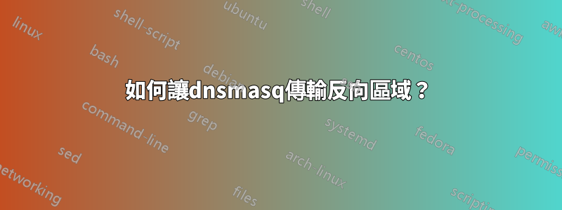 如何讓dnsmasq傳輸反向區域？