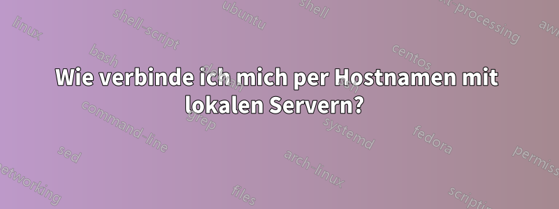 Wie verbinde ich mich per Hostnamen mit lokalen Servern? 