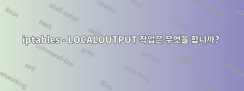 iptables - LOCALOUTPUT 작업은 무엇을 합니까?