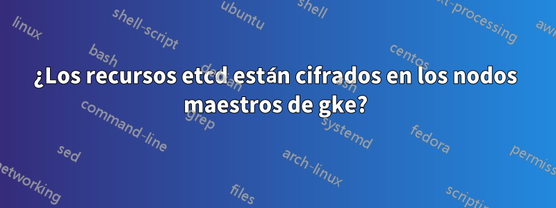 ¿Los recursos etcd están cifrados en los nodos maestros de gke?