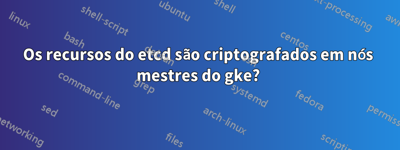 Os recursos do etcd são criptografados em nós mestres do gke?