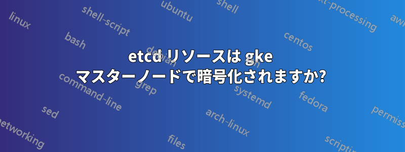 etcd リソースは gke マスターノードで暗号化されますか?